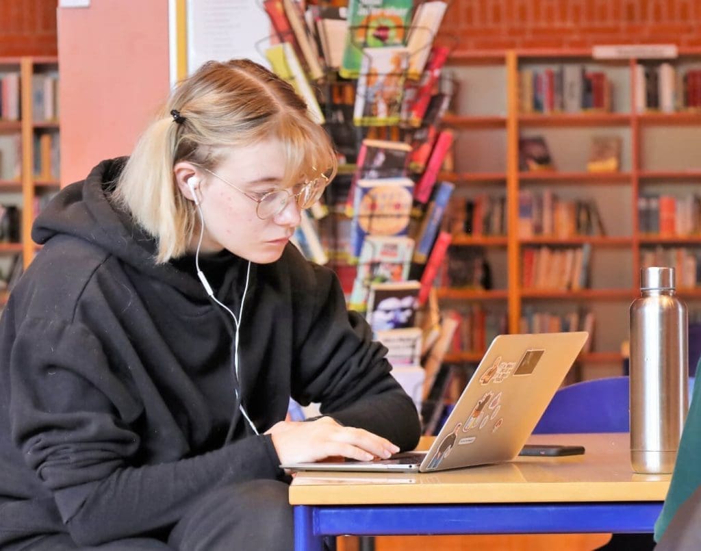 IB Self Taught Language Grenaa Gymnasium